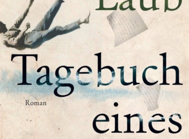 Michael Laub - Tagebuch eines Sturzes (Buch) | Cover © Klett-Cotta