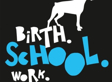 Nils Mohl - Birth. School. Work. Death. (Buch) eBook Cover © rowohlt