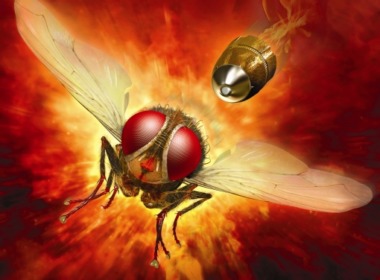 Makkhi - Die Rache der Fliege - Filmsheet © Rapid Eye Movies