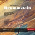 Peter Adolphsen - Brummstein Cover © Egmont Hörverlag