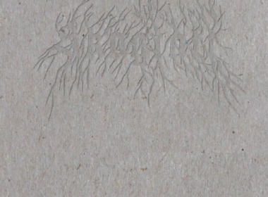 Ulrike Serowy - Skogtatt (Cover © Hablizel Verlag)