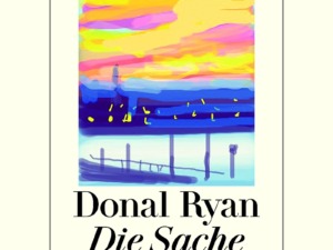 Donal Ryan - Die Sache mit dem Dezember (Cover © Diogenes)