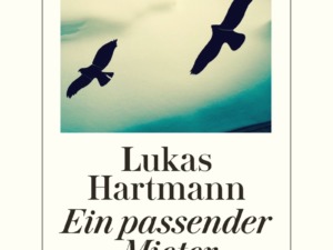 Lukas Hartmann, Ein passender Mieter (Cover ©Diogenes)
