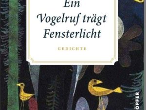 Christine Langer - Ein Vogelruf trägt Fensterlicht Cover © Denis Krnjaic Alfred Kröner Verlag
