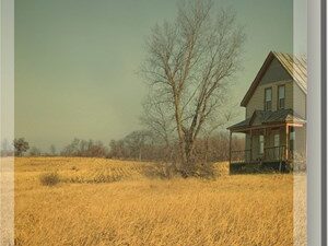 Der Friedhofswärter