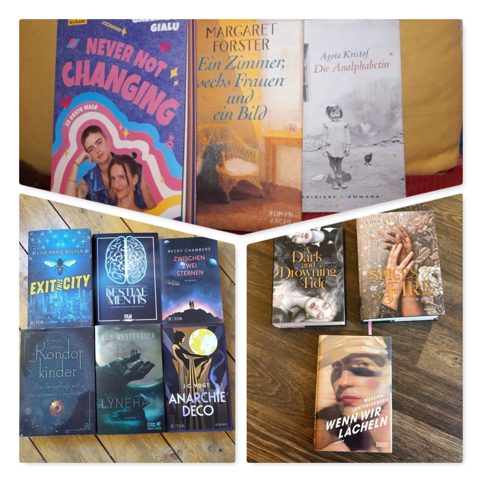 Adventskalender 2025 - Bücherauswahl © Booknerds