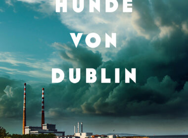 Die schlafenden Hunde von Dublin